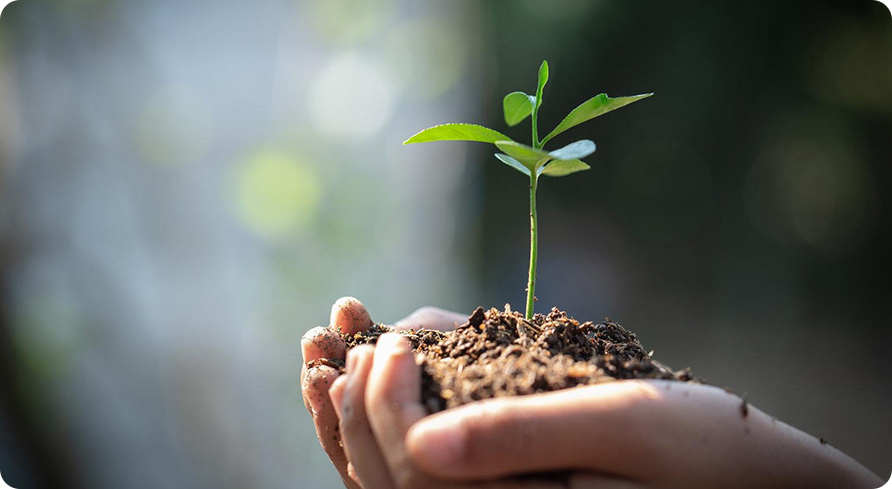 J9集团平台(中国)公司官网