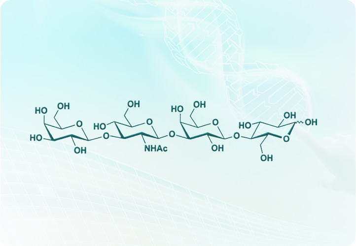 J9集团平台(中国)公司官网