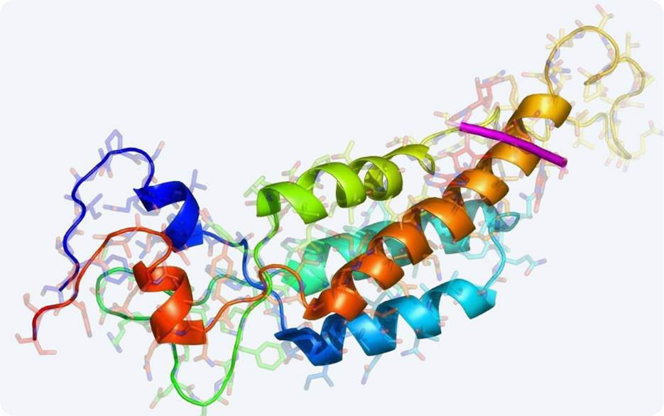 J9集团平台(中国)公司官网
