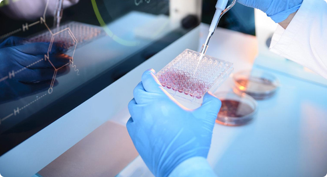 J9集团平台(中国)公司官网