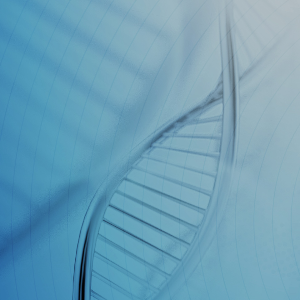 J9集团平台(中国)公司官网