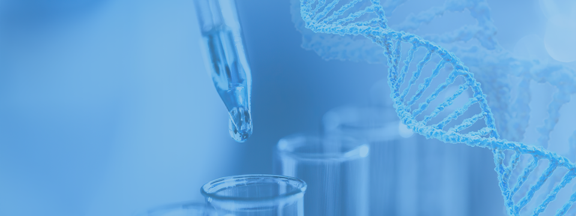 J9集团平台(中国)公司官网