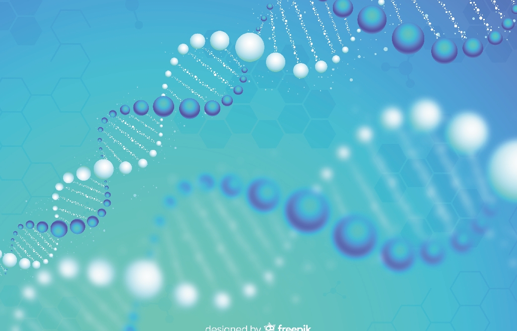 J9集团平台(中国)公司官网